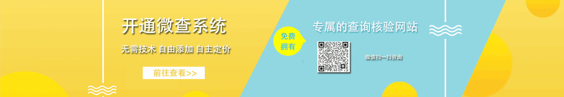 微查系统